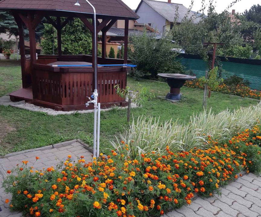 Photo of Others in Badacsonytomaj