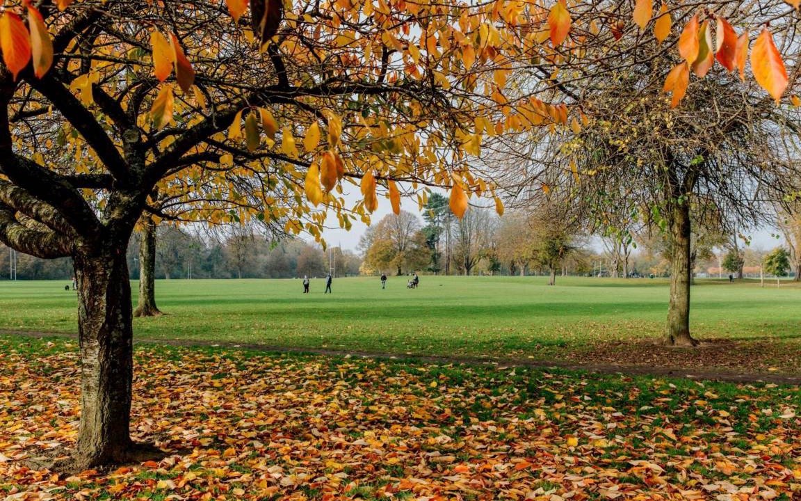 Photo of Others in Pontcanna