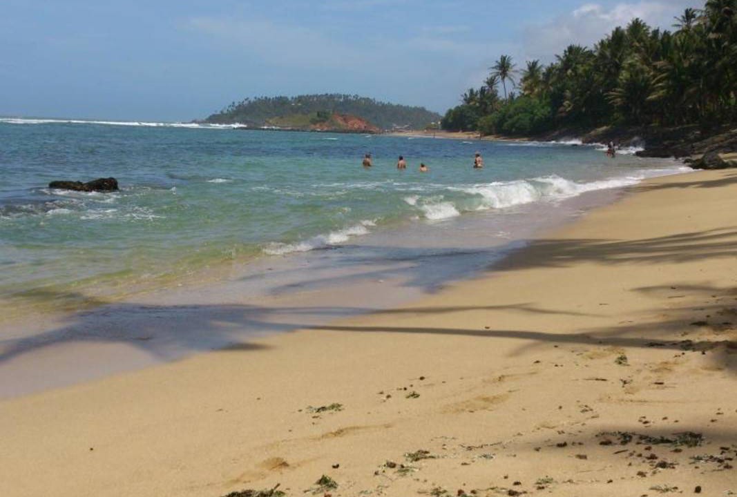 Photo of Others in Mirissa