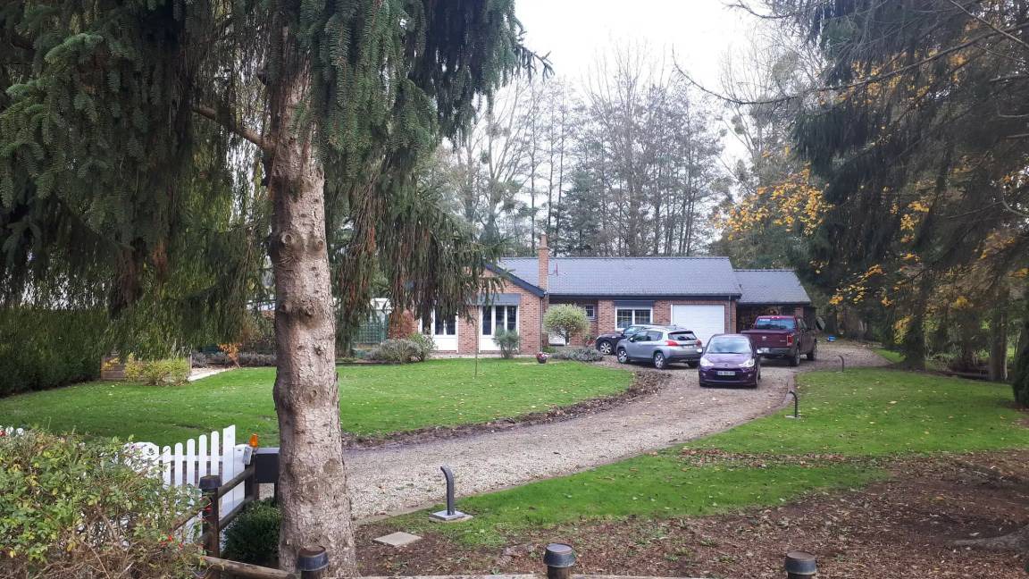 Photo of Others in Feron