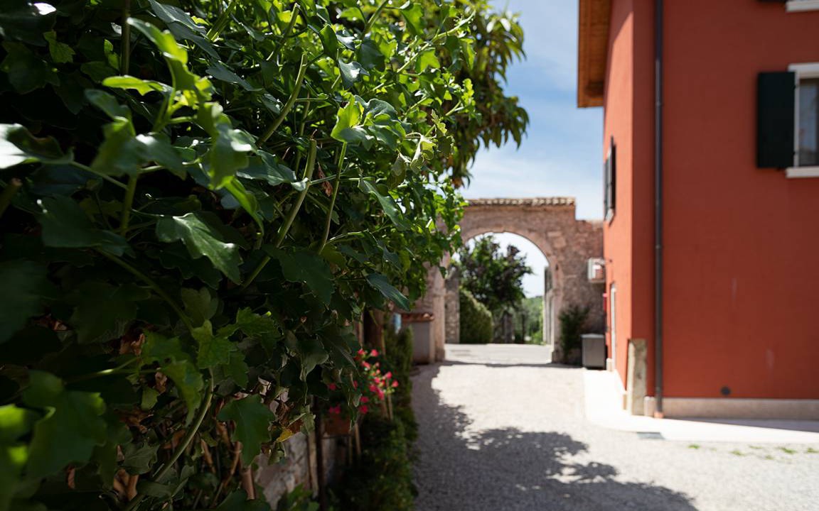 Photo of Others in Bardolino
