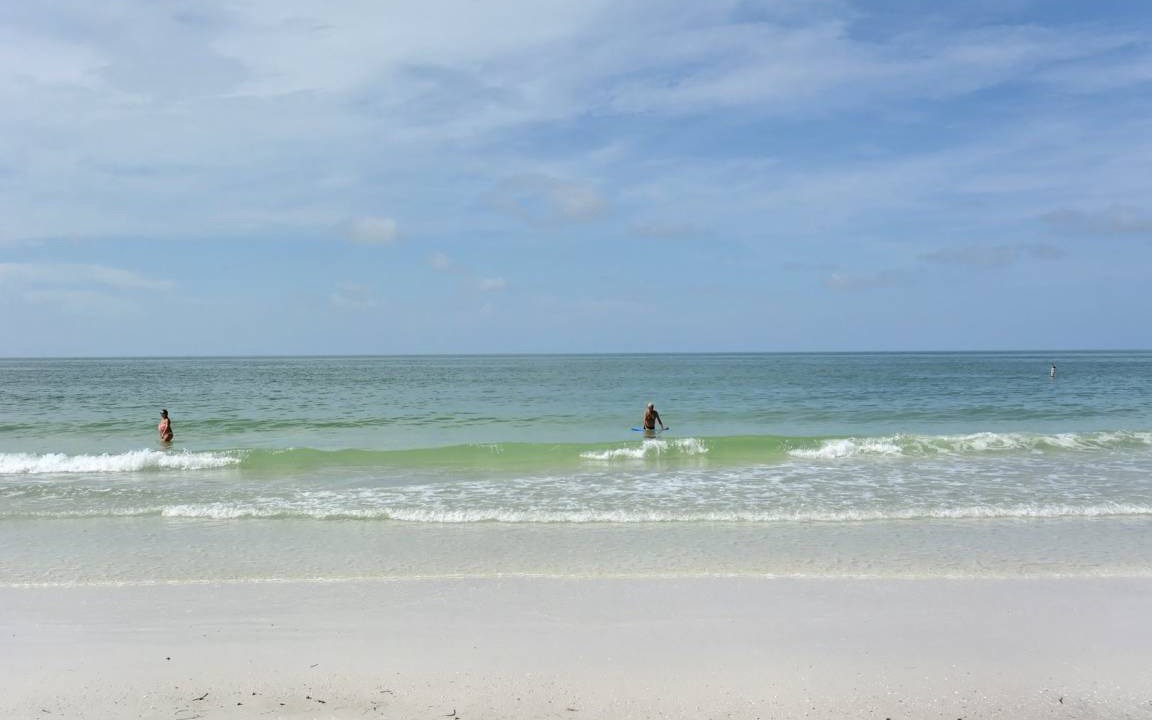 Photo of Others in Anna Maria