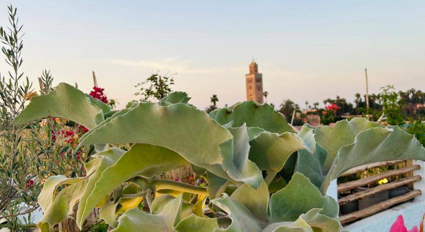 Photo of Others in Mechouar-Kasbah