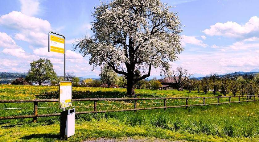 Photo of Others in Oberkirch