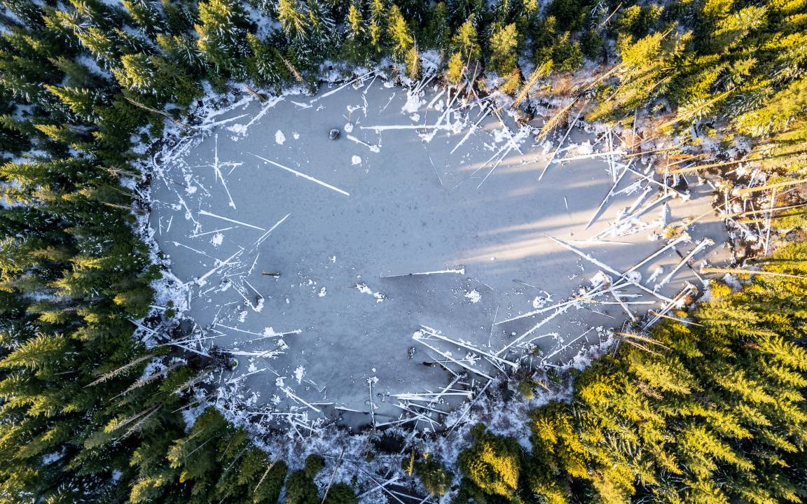 Photo of Others in Hyak