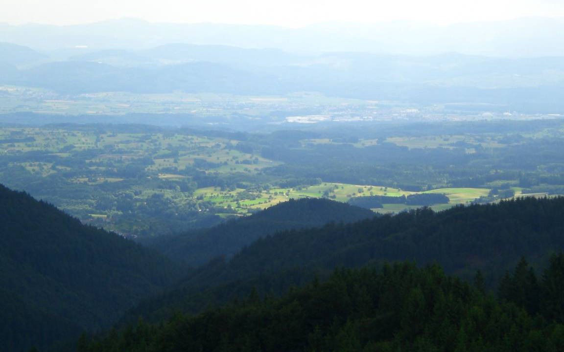 Photo of Others in Schopfheim