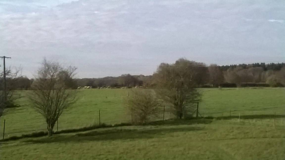 Photo of Others in Buironfosse