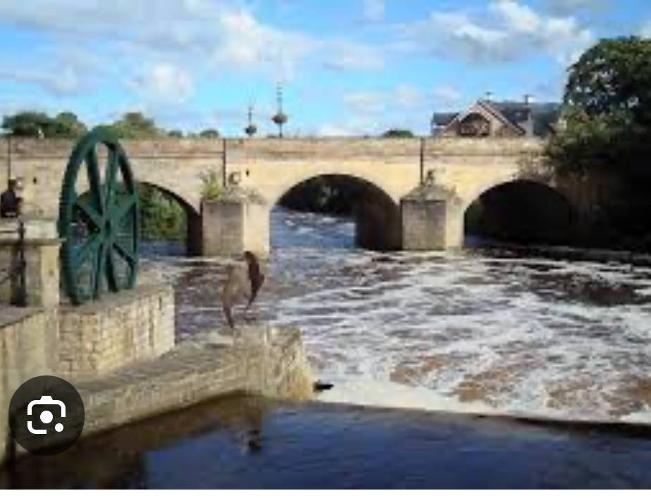 Photo of Others in Wetherby