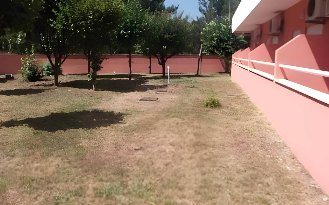 Photo of Others in Albergaria-a-Velha