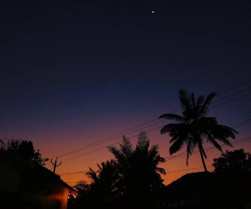 Photo of Others in Kalpetta