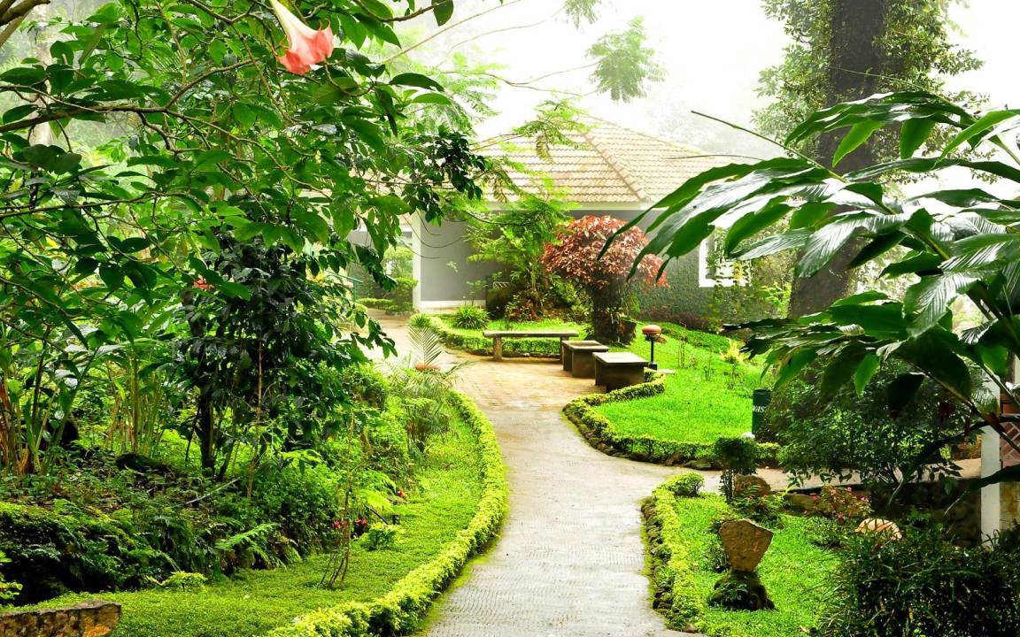 Photo of Others in Pallivasal