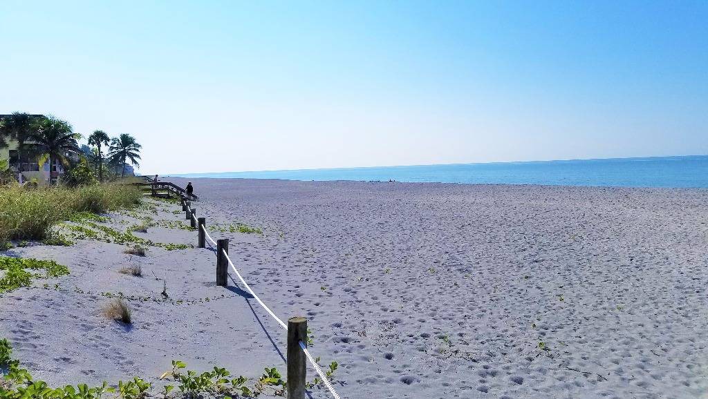 Photo of Others in Siesta Key
