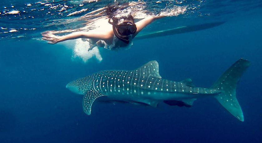 Photo of Others in Maratua Island