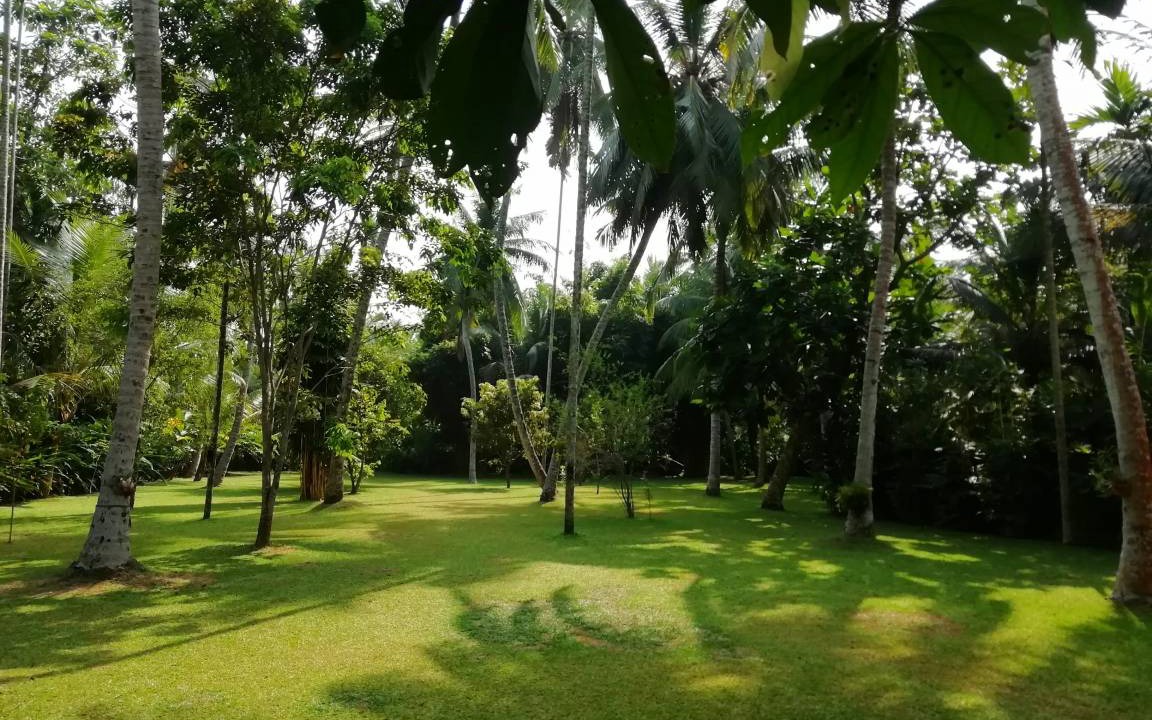 Photo of Outdoor in Kaduruduwa