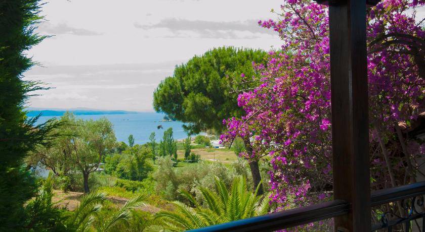 Photo of Others in Skiathos