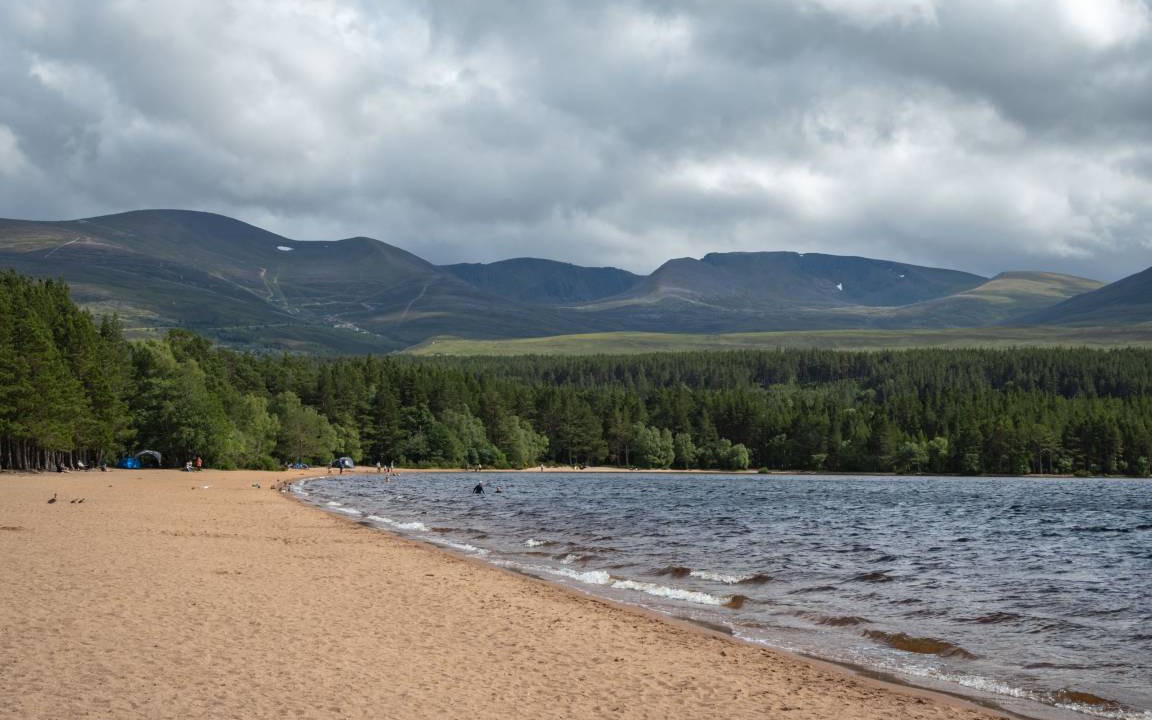 Photo of Others in Glenmore