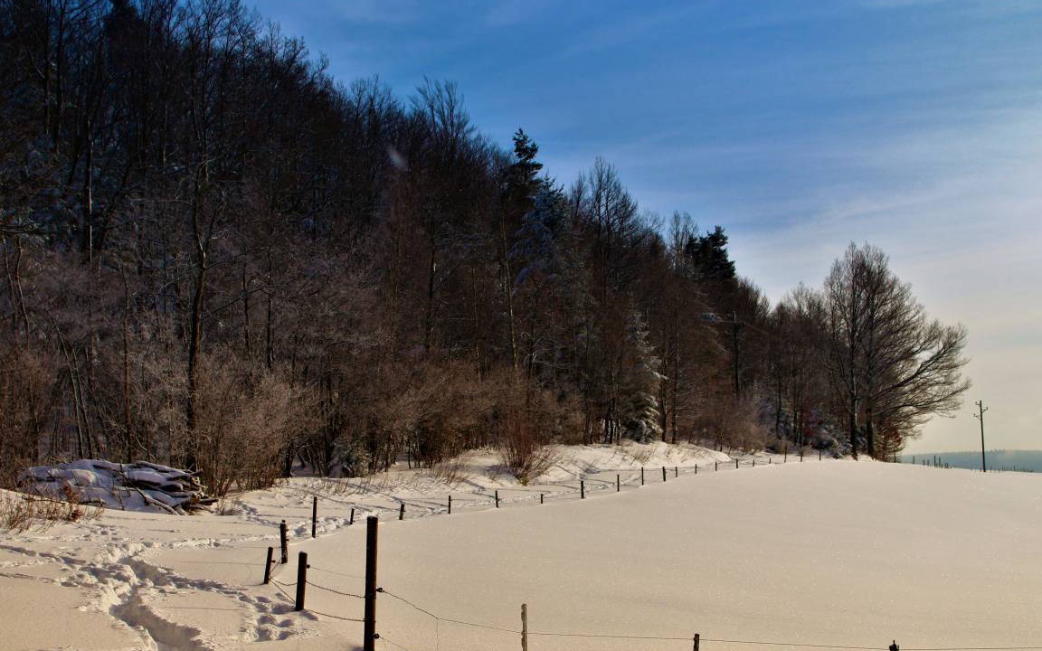 Photo of Others in Wolfach - Saint Roman