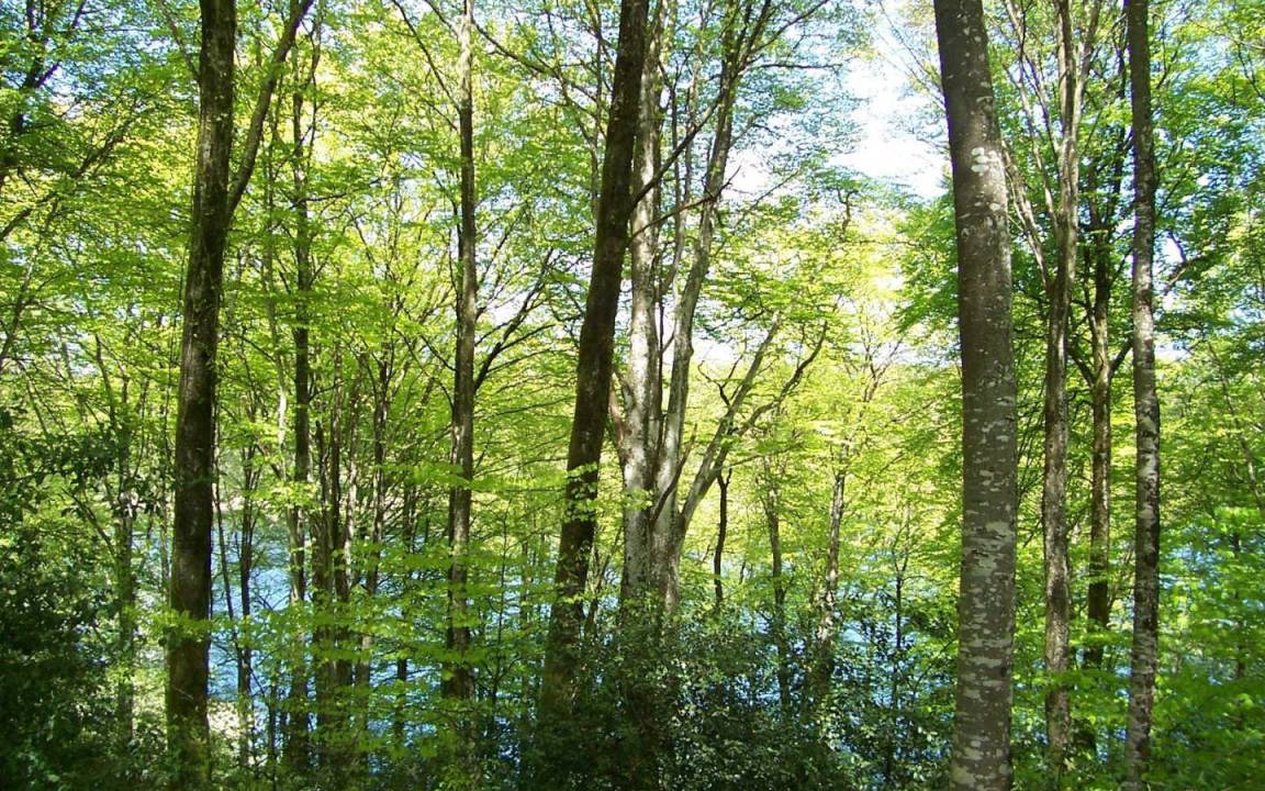 Photo of Others in Saint-Amans-Valtoret