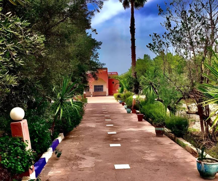 Photo of Others in Sidi Abdallah Ghiat