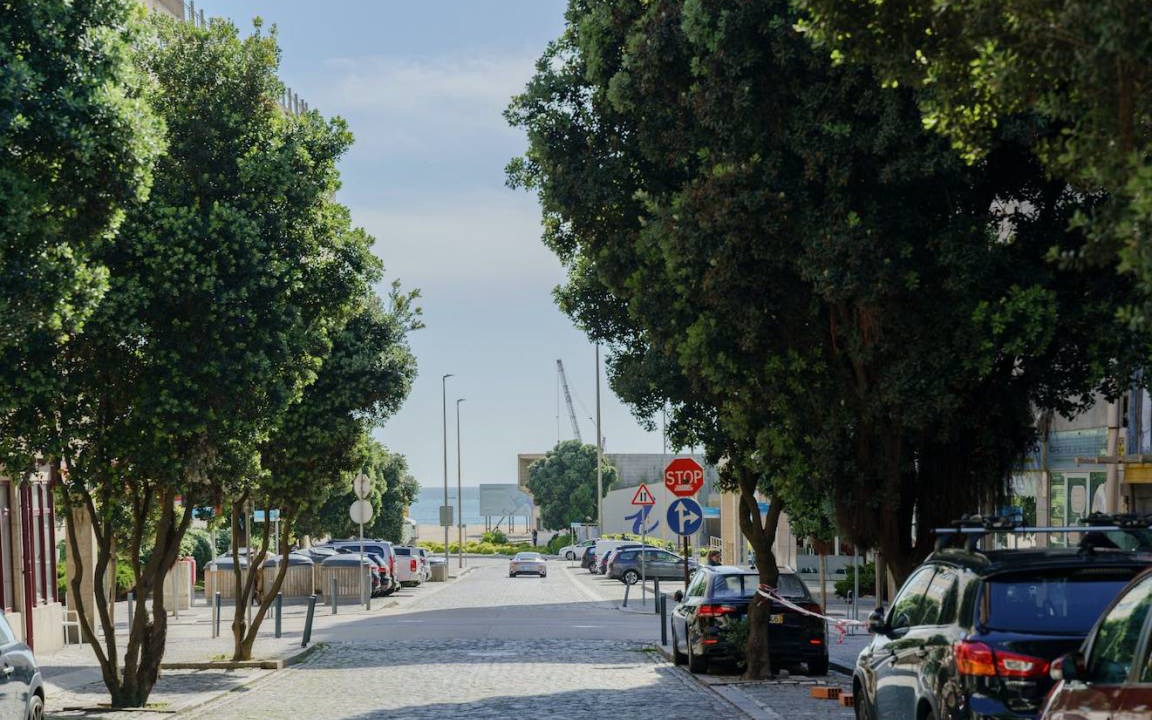 Photo of Others in Leixões