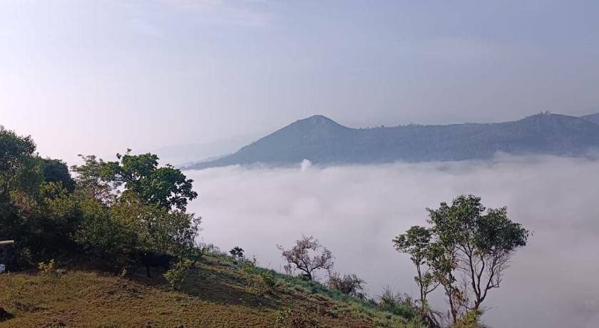 Photo of Outdoor in Elappara