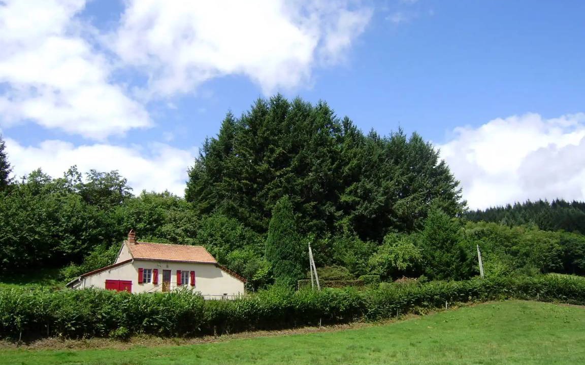 Photo of Others in Larochemillay