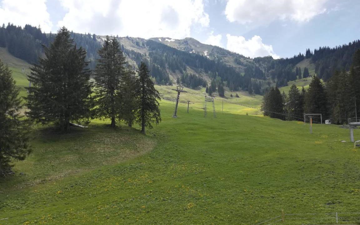 Photo of Others in Giswil