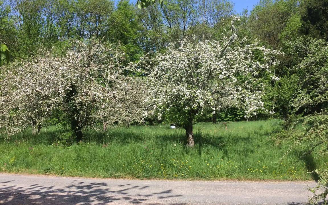 Photo of Others in Saint-Leger-sous-Beuvray