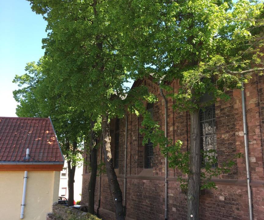 Photo of Others in Kostheim