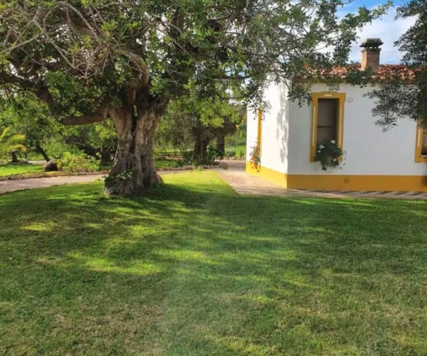 Photo of Others in Olhao