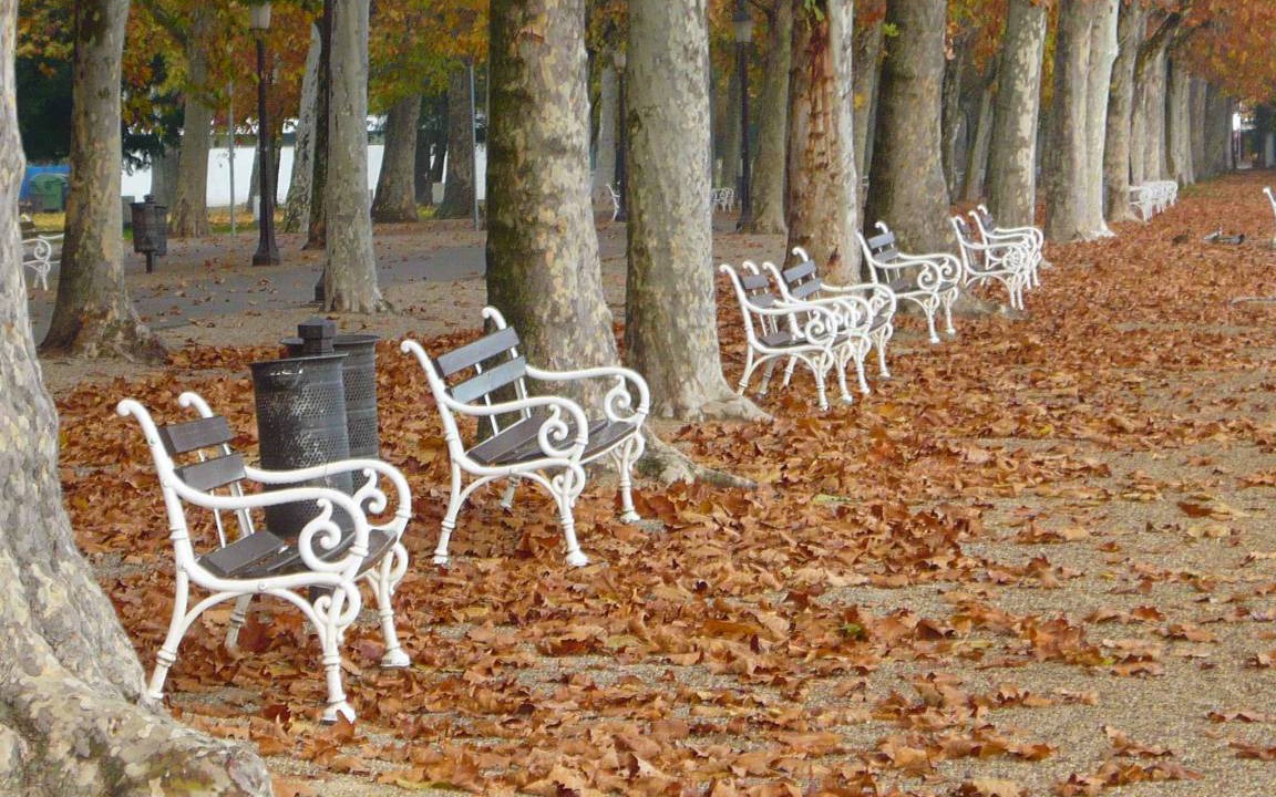Photo of Others in Balatonfured