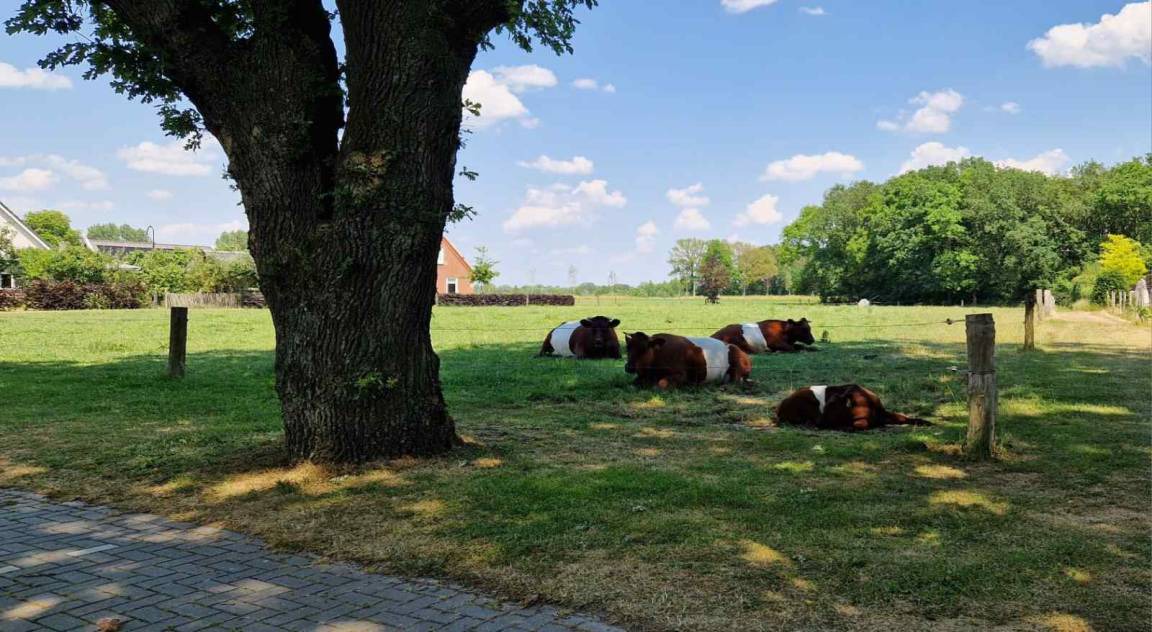 Photo of Others in Marienberg