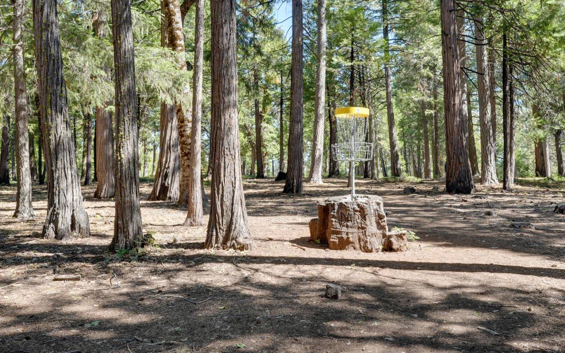 Photo of Others in Pollock Pines