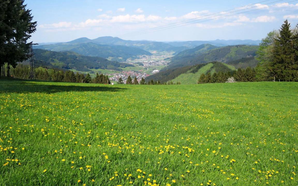 Photo of Others in Hofstetten
