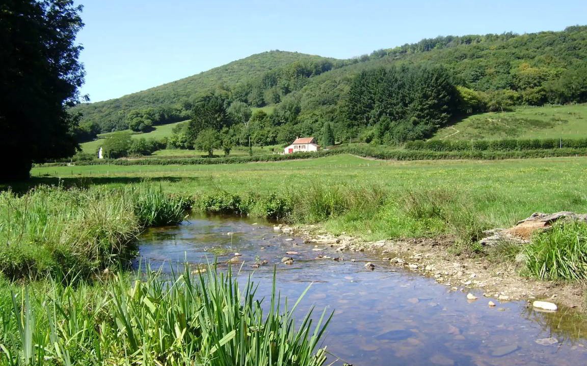 Photo of Others in Larochemillay