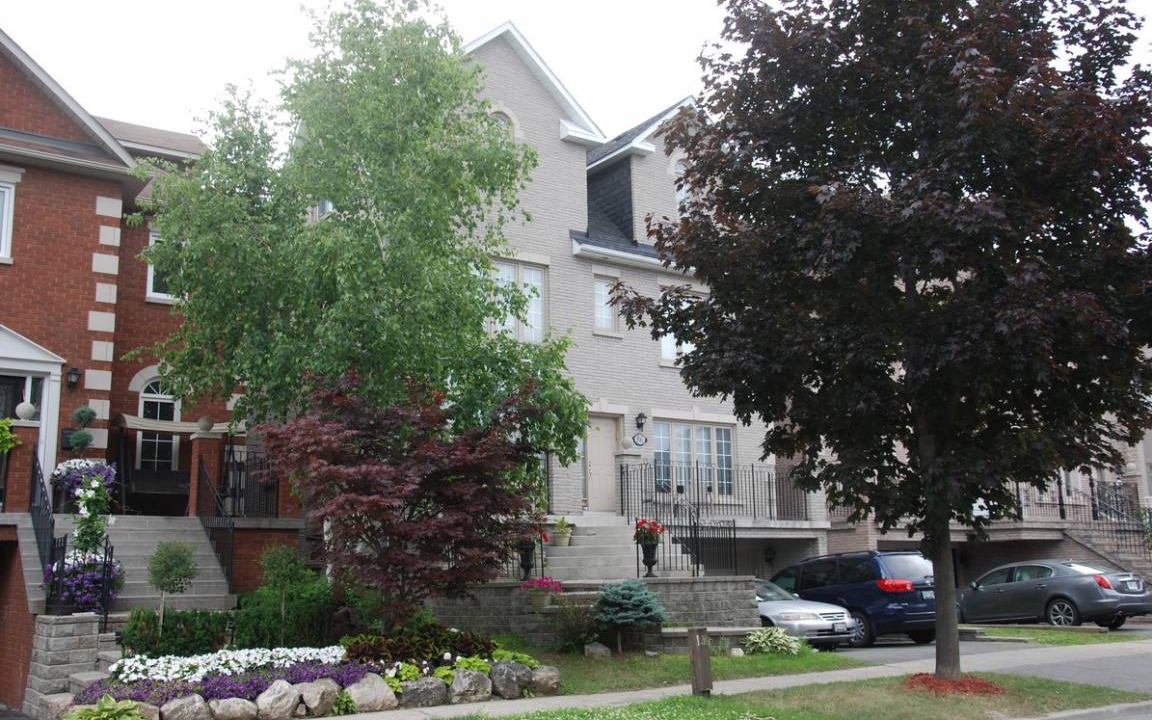 Photo of Others in Thornhill