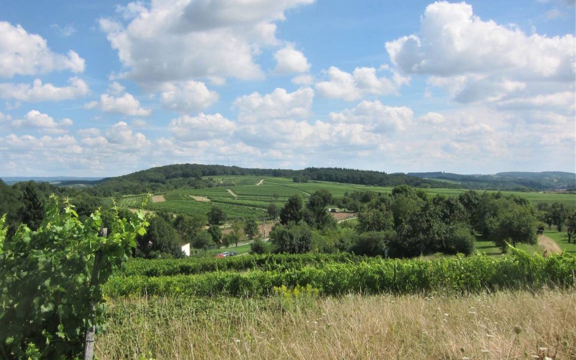 Photo of Others in Bad Mingolsheim