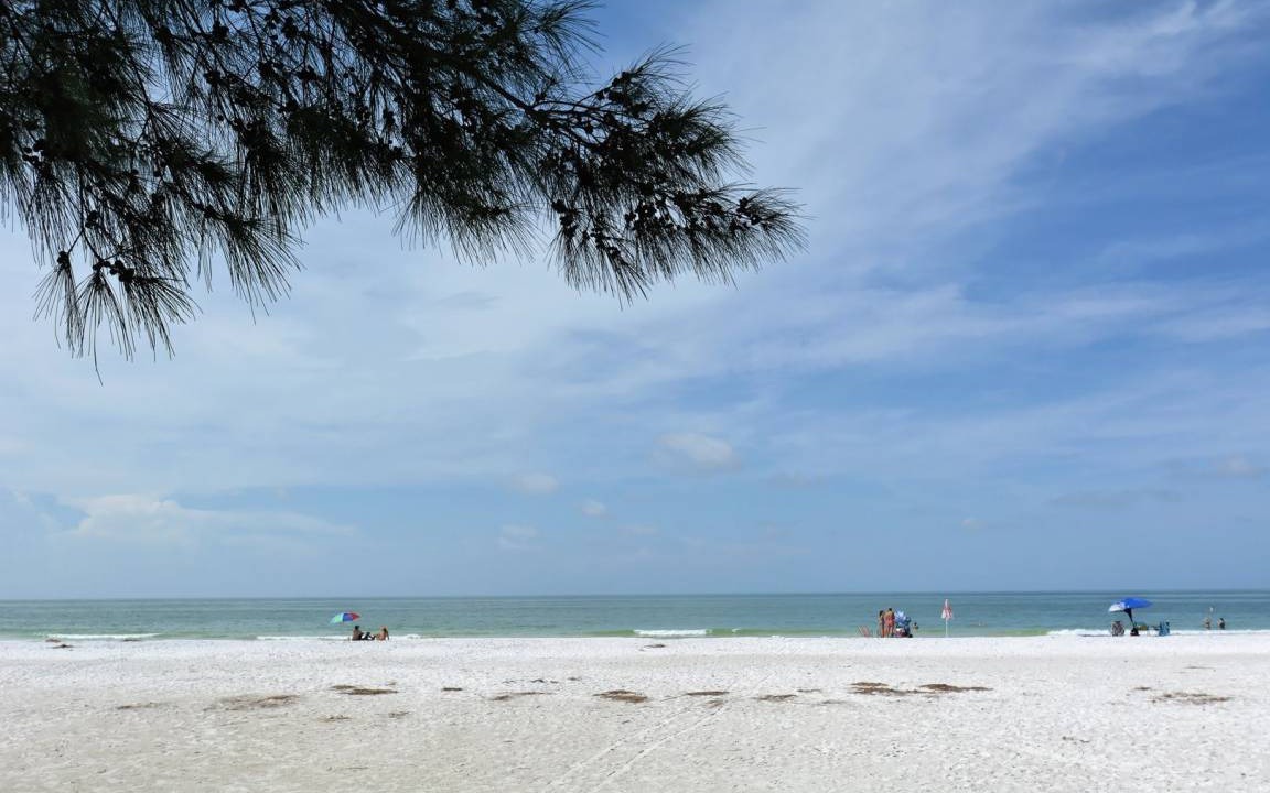 Photo of Others in Anna Maria