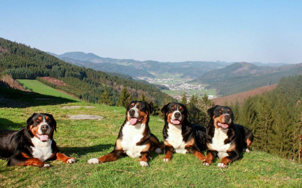 Photo of Others in Hofstetten