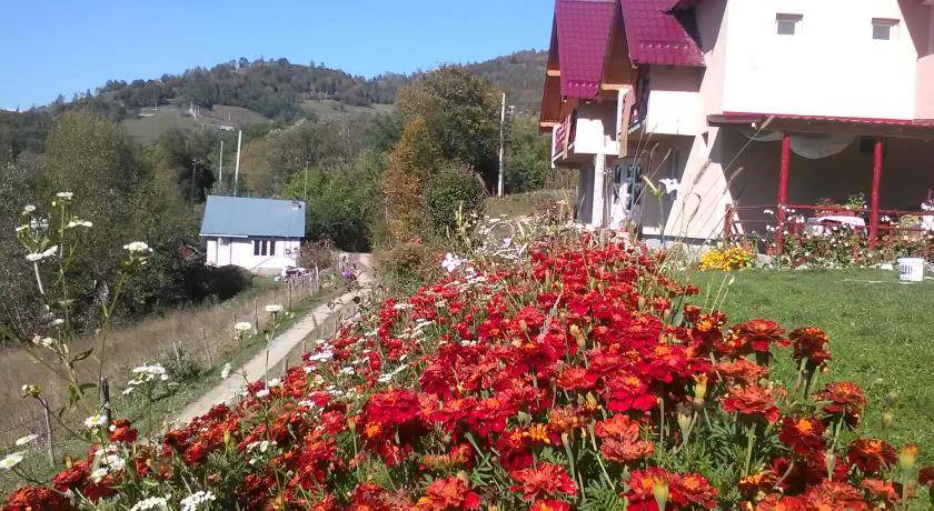 Photo of Others in Vidra