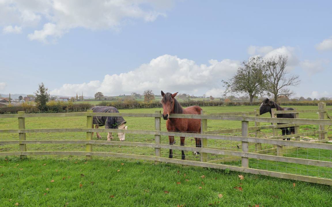 Photo of Others in Uttoxeter