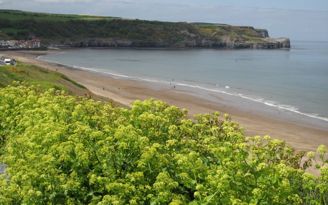 Photo of Others in Whitby
