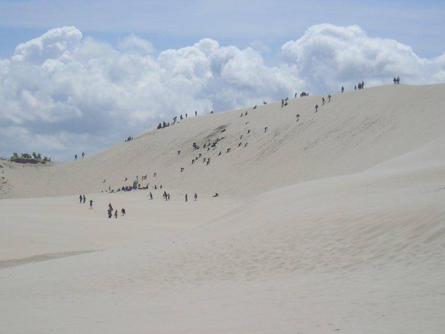 Photo of Others in Zarnowska
