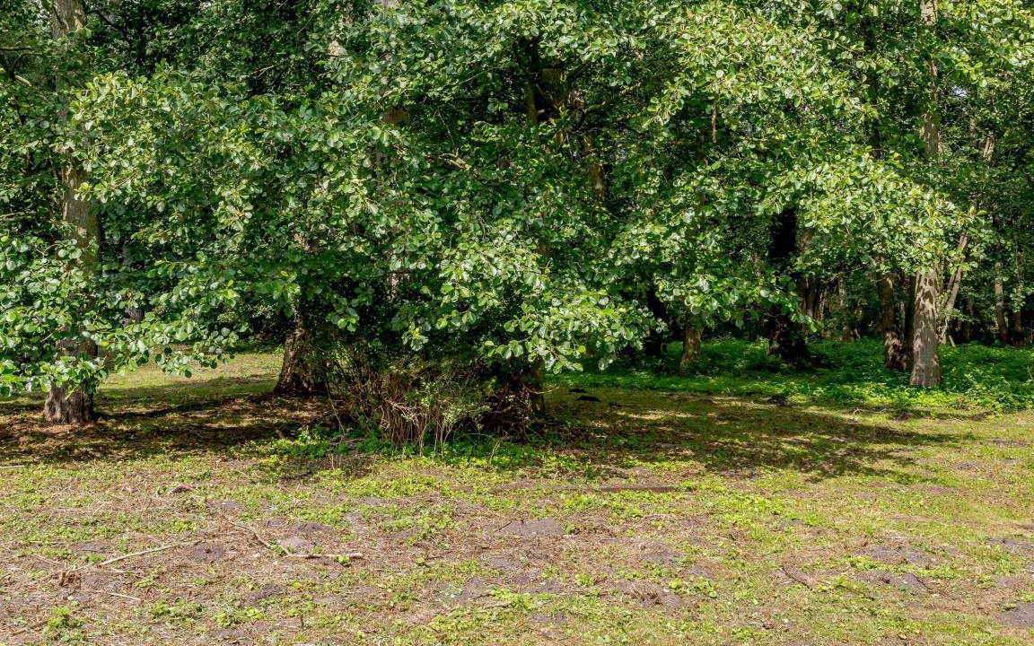 Photo of Outdoor in Brandon