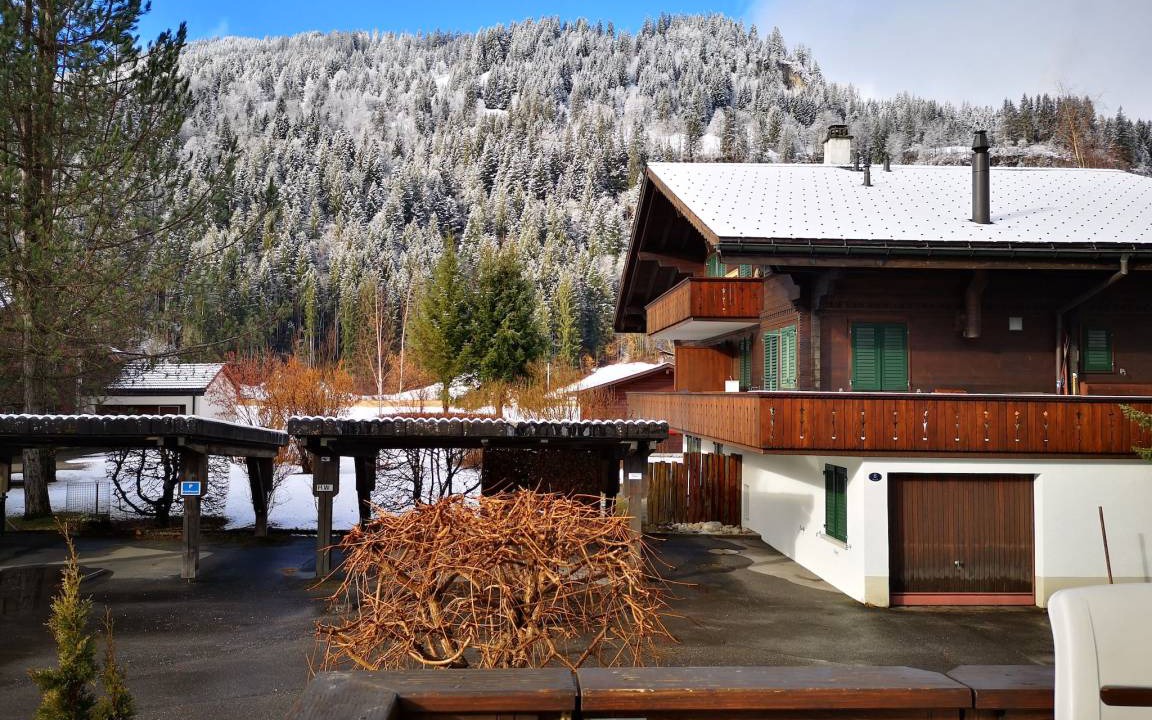 Photo of Others in Lenk