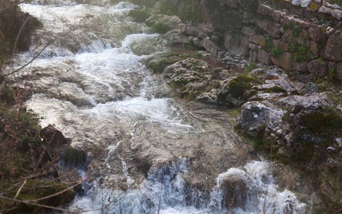 Photo of Others in Brenac