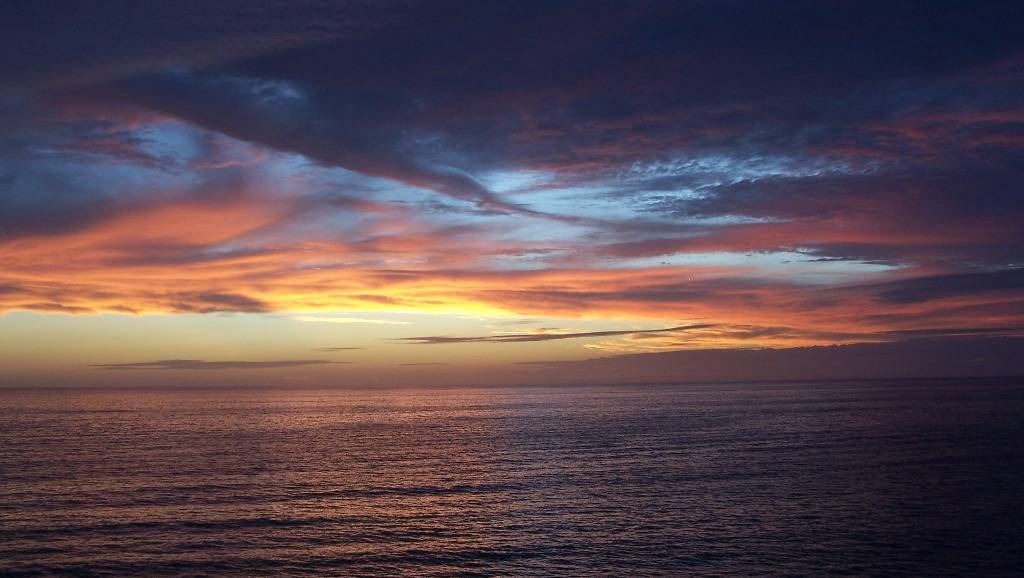 Photo of Others in Siesta Key