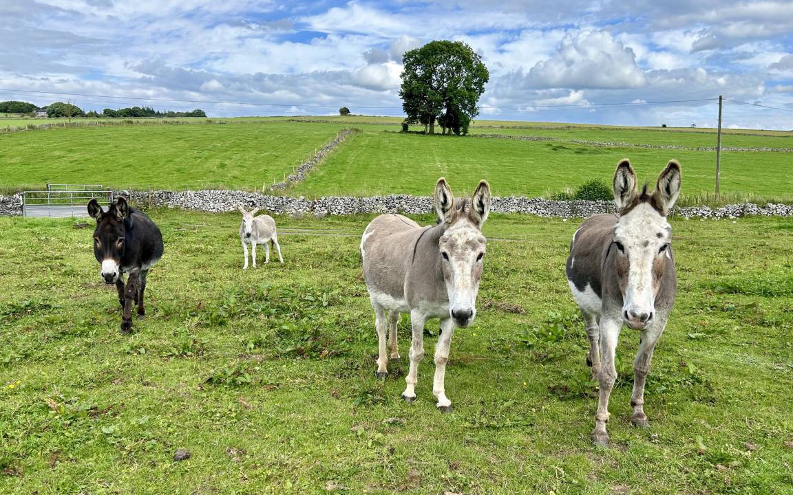Photo of Others in Newton Grange