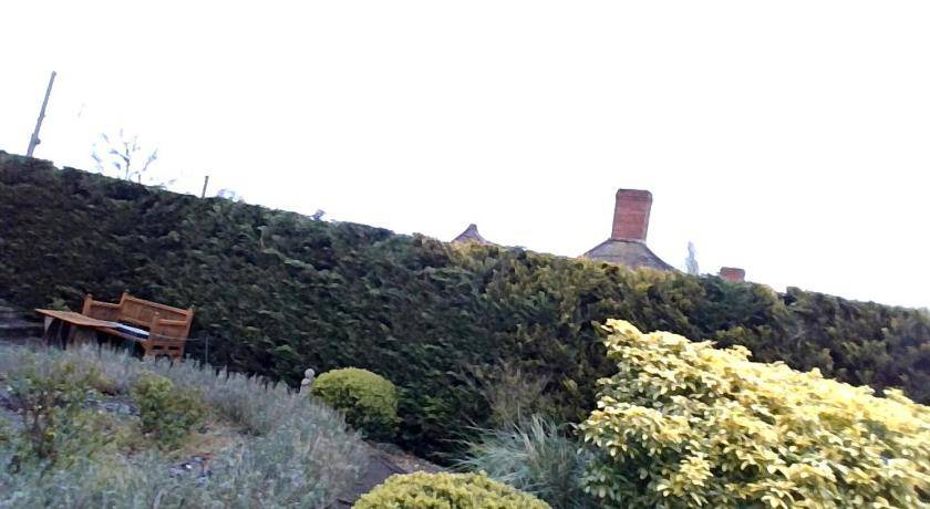 Photo of Others in South Petherton