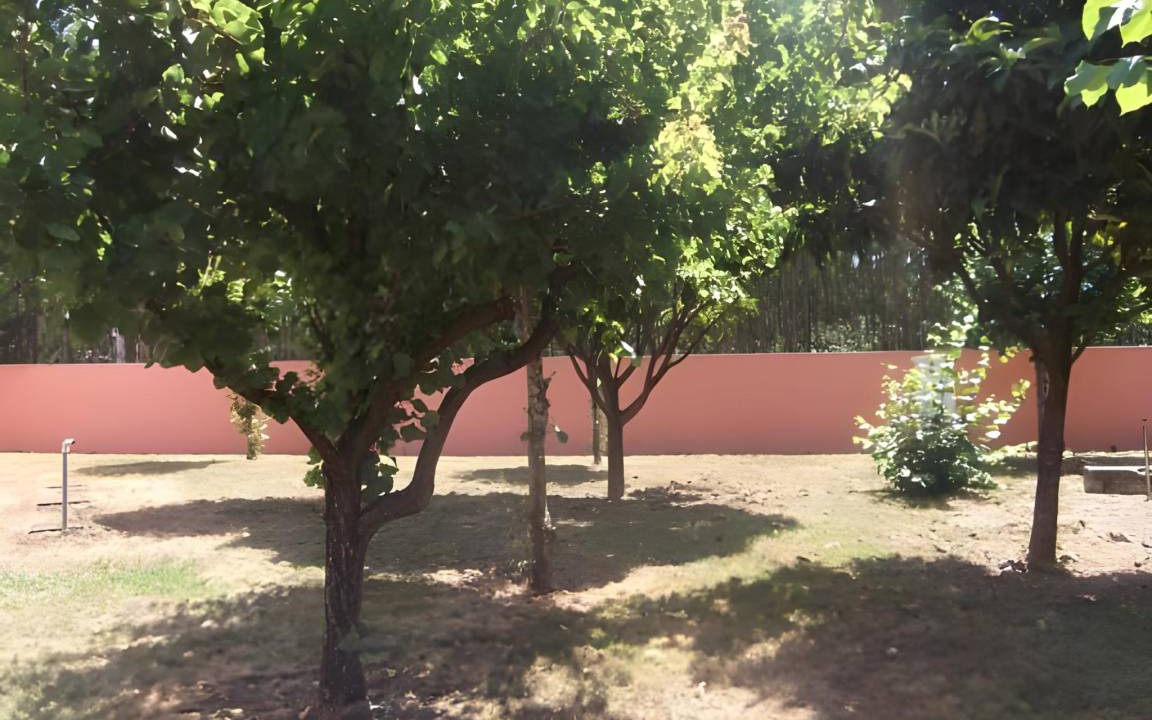 Photo of Others in Albergaria-a-Velha